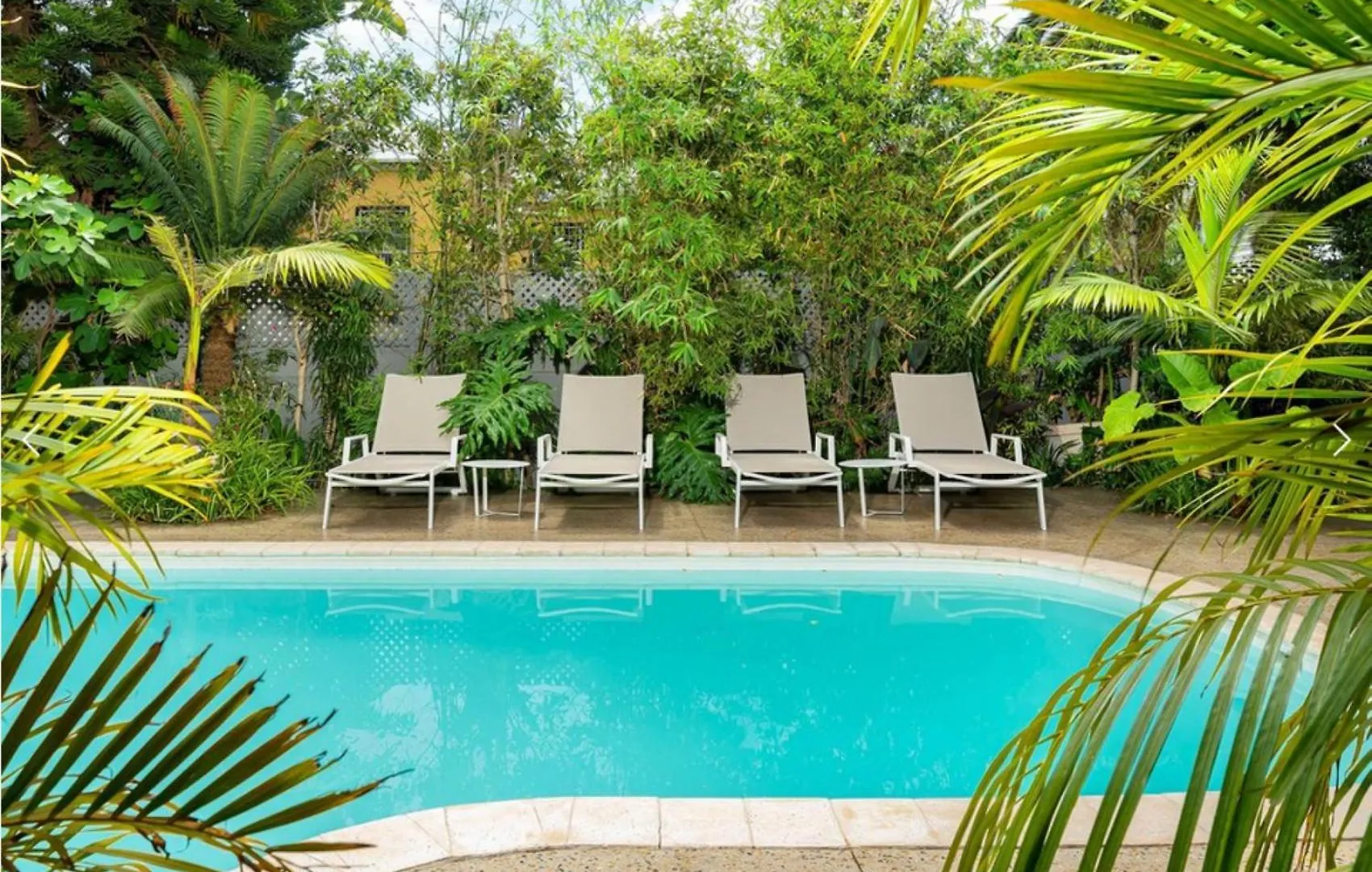 Cape Standard Guest House Le Cap