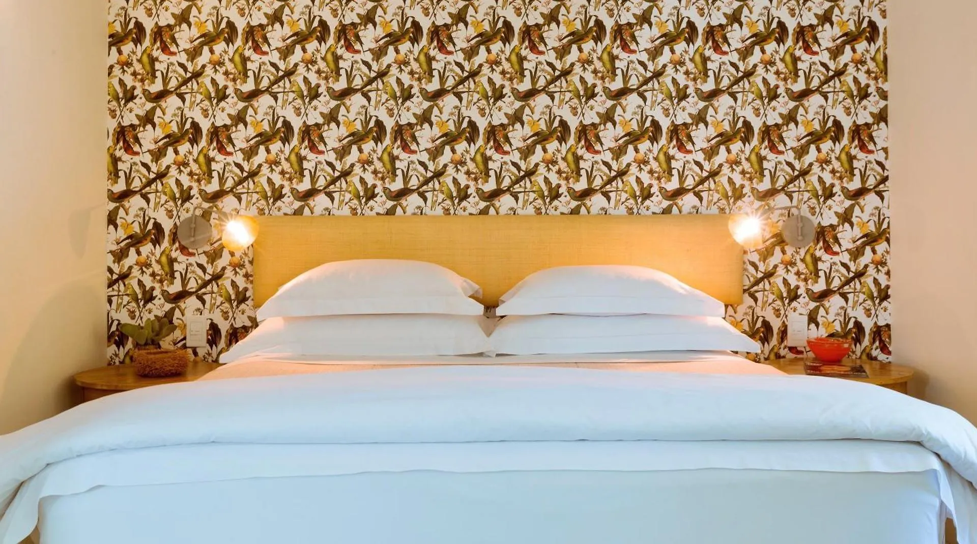 Cape Standard Guest House Cape Town
